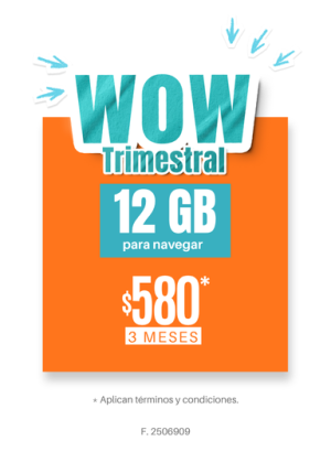 Wow Trimestral